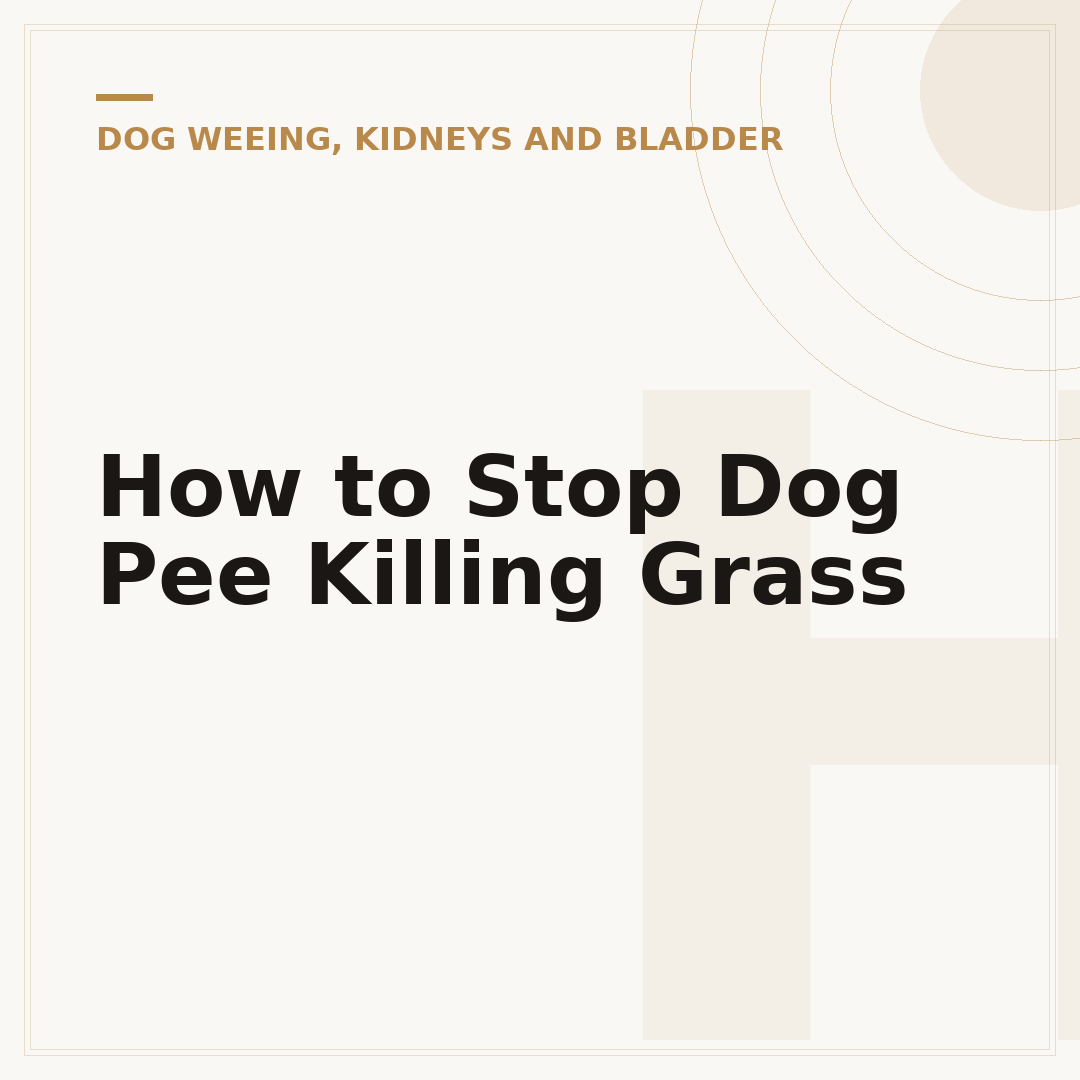 How to Stop Dog Pee Killing Grass