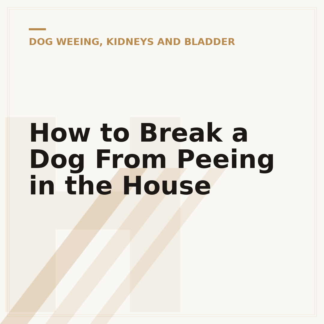 How to Break a Dog From Peeing in the House