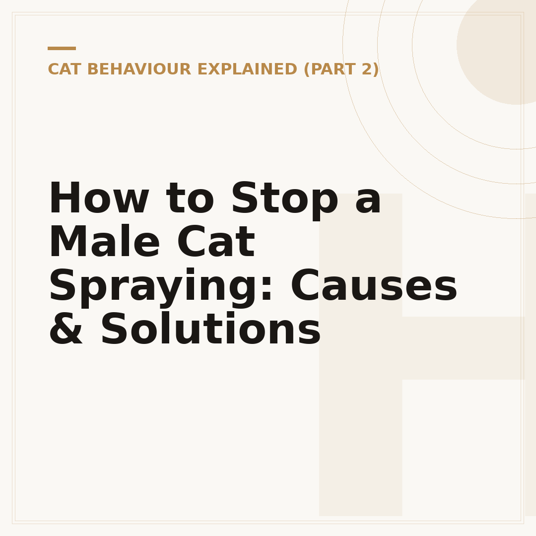 How to Stop a Male Cat Spraying: Causes & Solutions