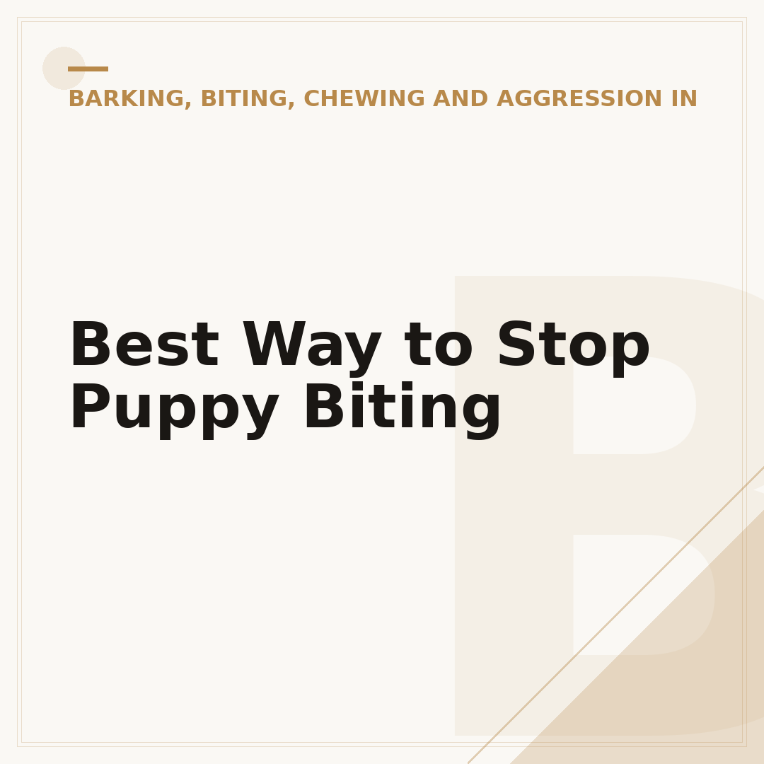 Best Way to Stop Puppy Biting