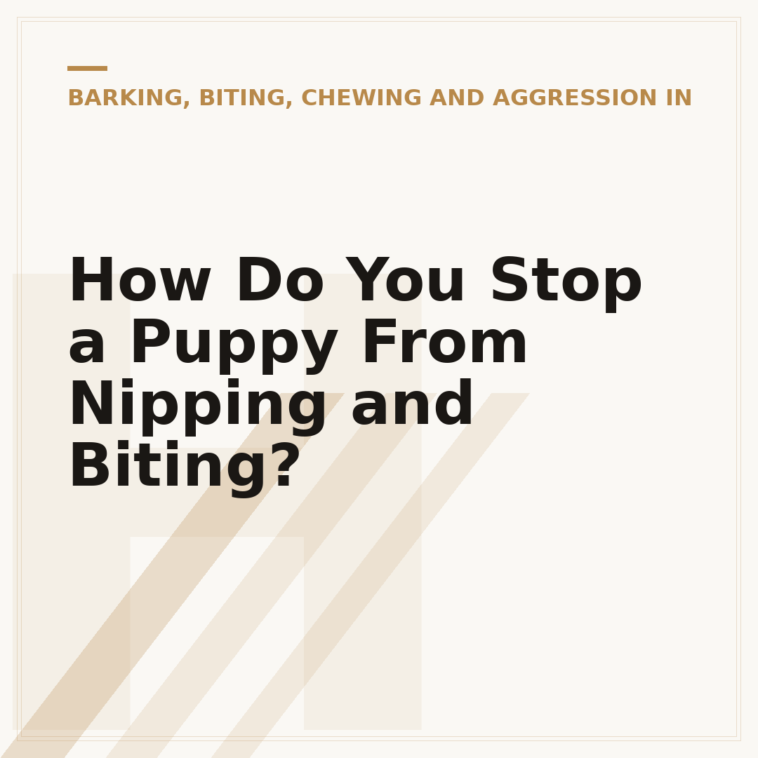 How Do You Stop a Puppy From Nipping and Biting?