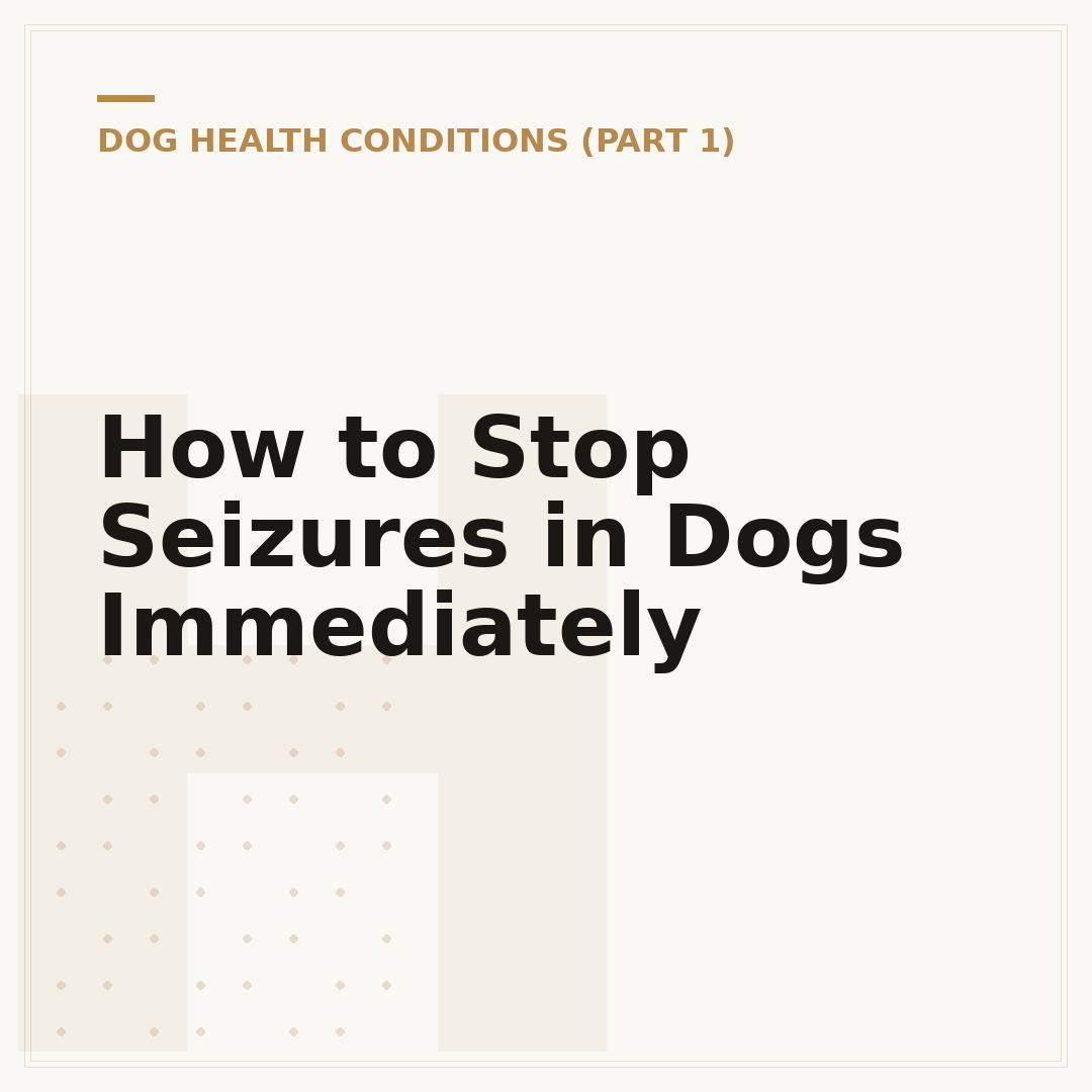 How to Stop Seizures in Dogs Immediately