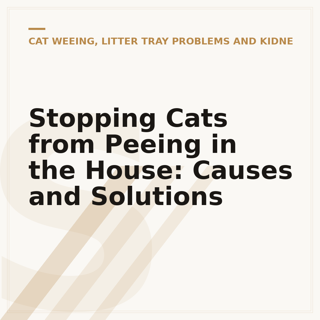 Stopping Cats from Peeing in the House: Causes and Solutions
