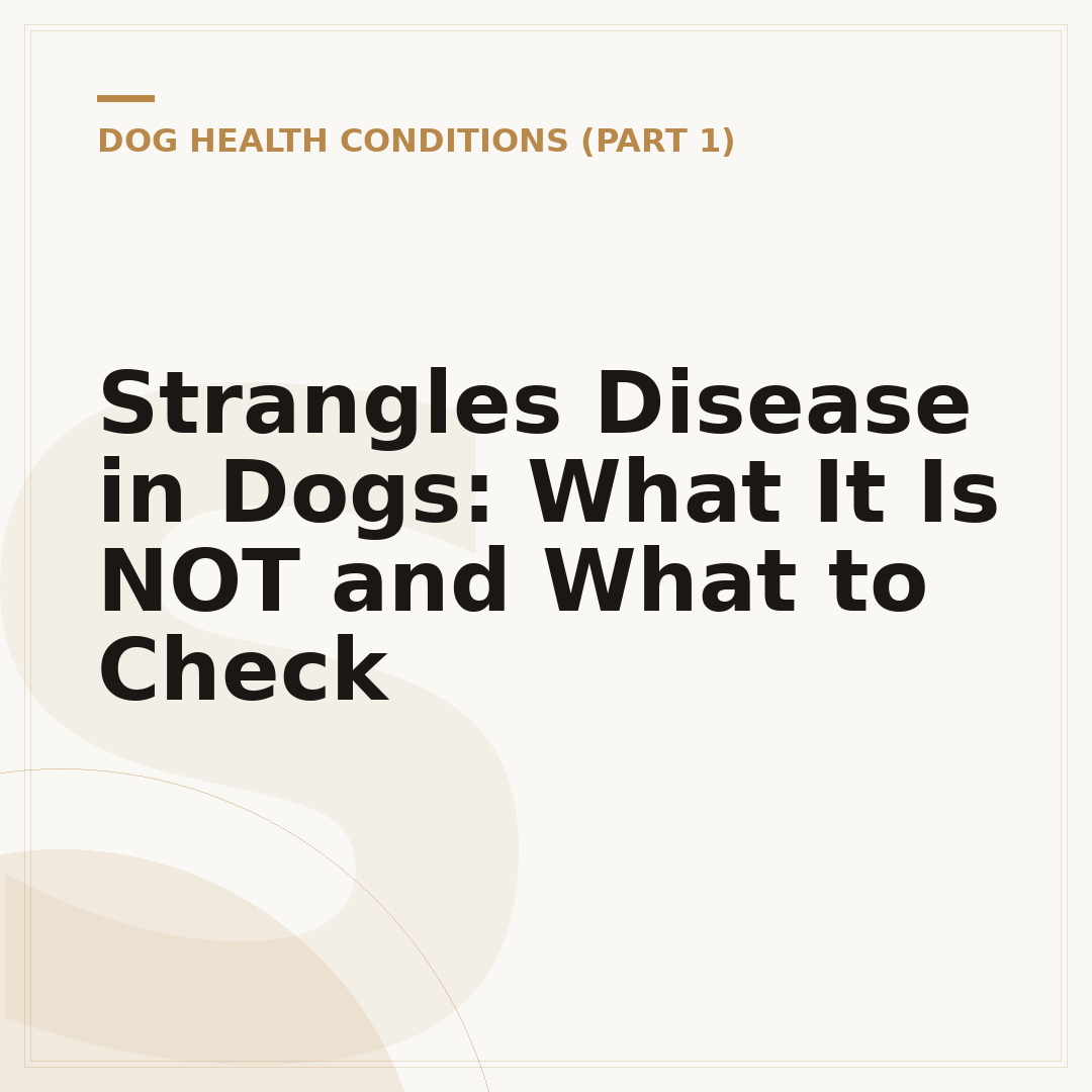 Strangles Disease in Dogs: What It Is NOT and What to Check