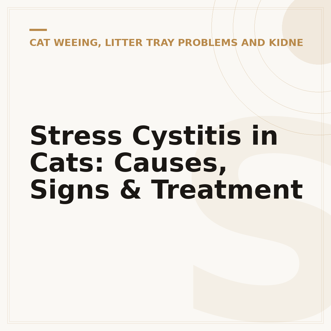 Stress Cystitis in Cats: Causes, Signs & Treatment