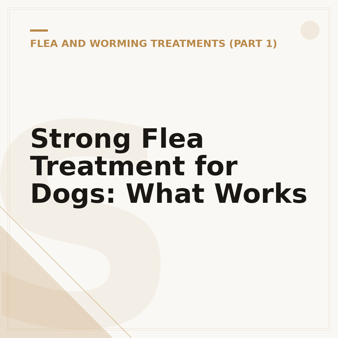 Strong Flea Treatment for Dogs: What Works