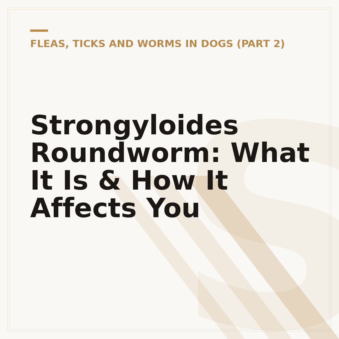 Strongyloides Roundworm: What It Is & How It Affects You