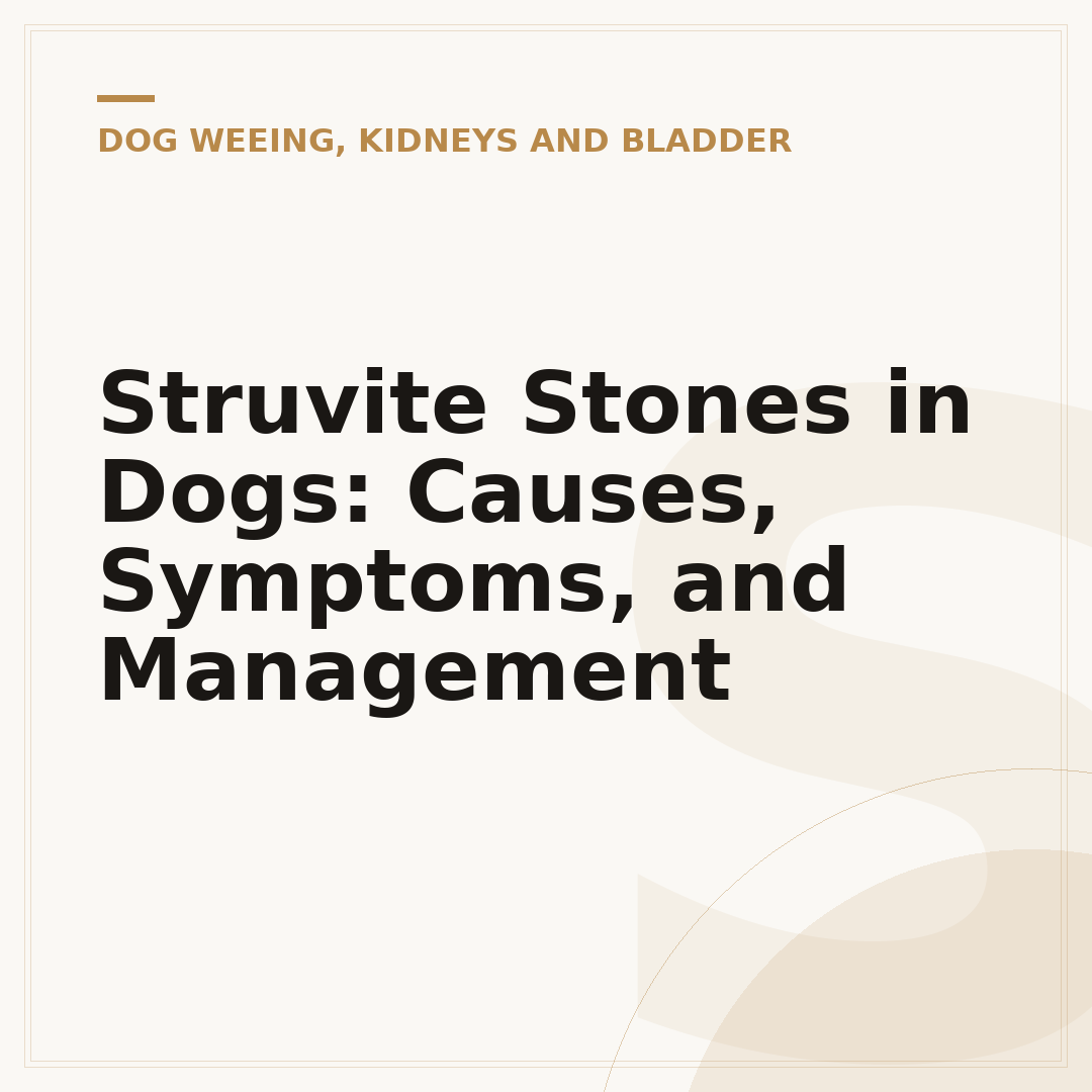 Struvite Stones in Dogs: Causes, Symptoms, and Management