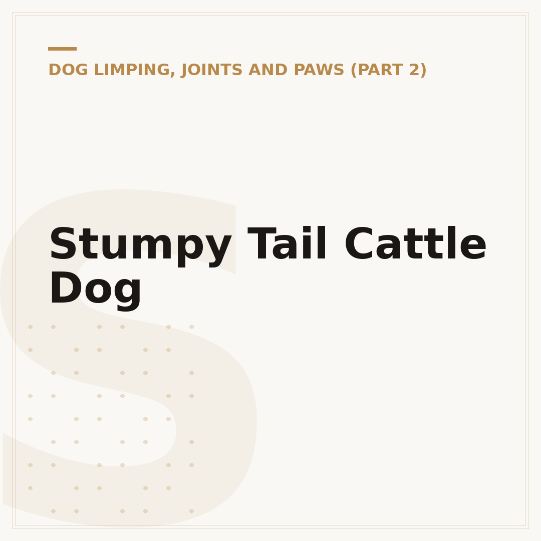 Stumpy Tail Cattle Dog