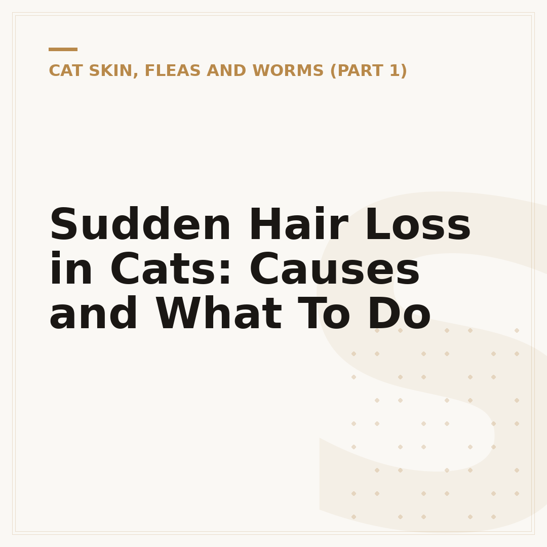 Sudden Hair Loss in Cats: Causes and What To Do
