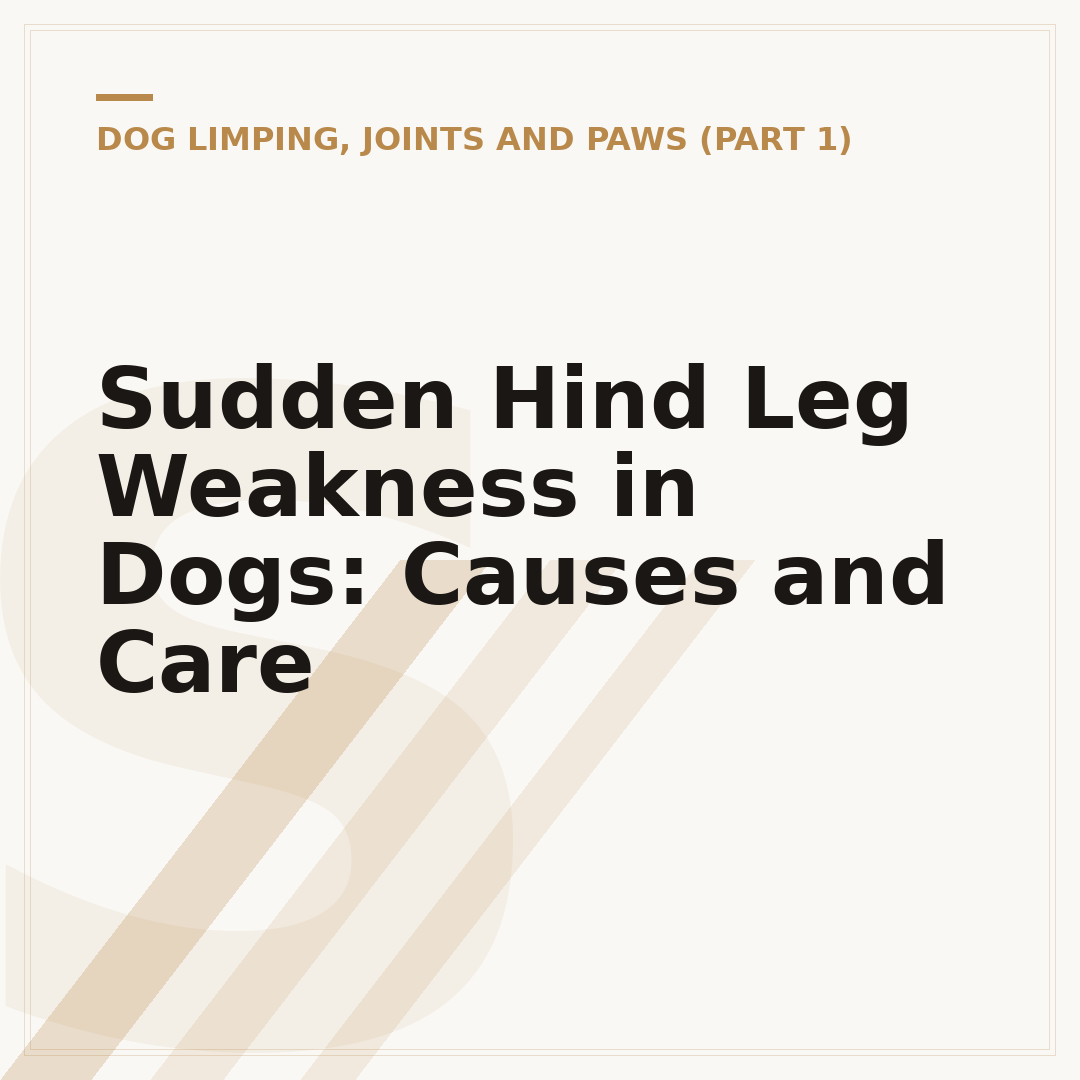 Sudden Hind Leg Weakness in Dogs: Causes and Care