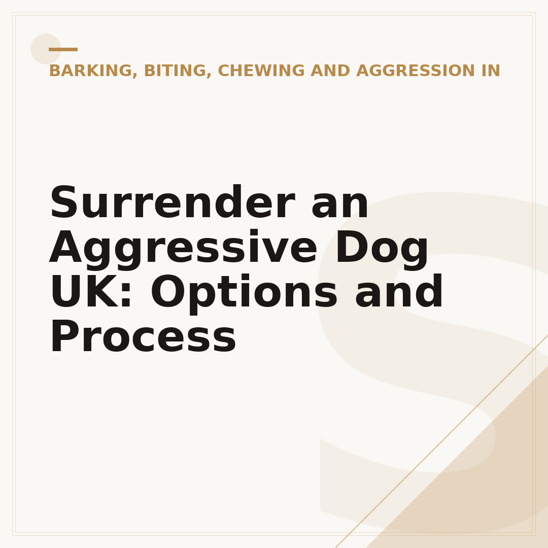 Surrender an Aggressive Dog UK: Options and Process