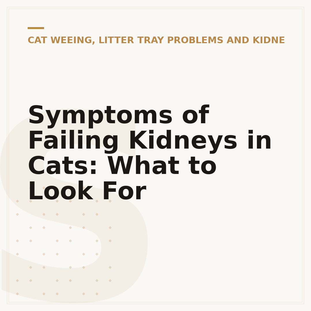 Symptoms of Failing Kidneys in Cats: What to Look For