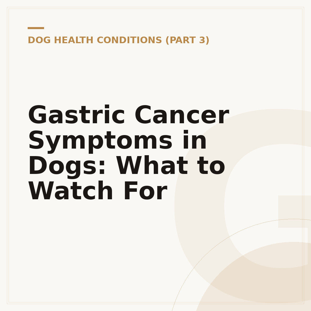 Gastric Cancer Symptoms in Dogs: What to Watch For