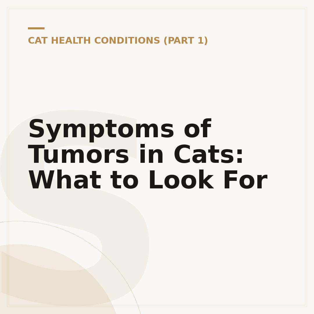 Symptoms of Tumors in Cats: What to Look For