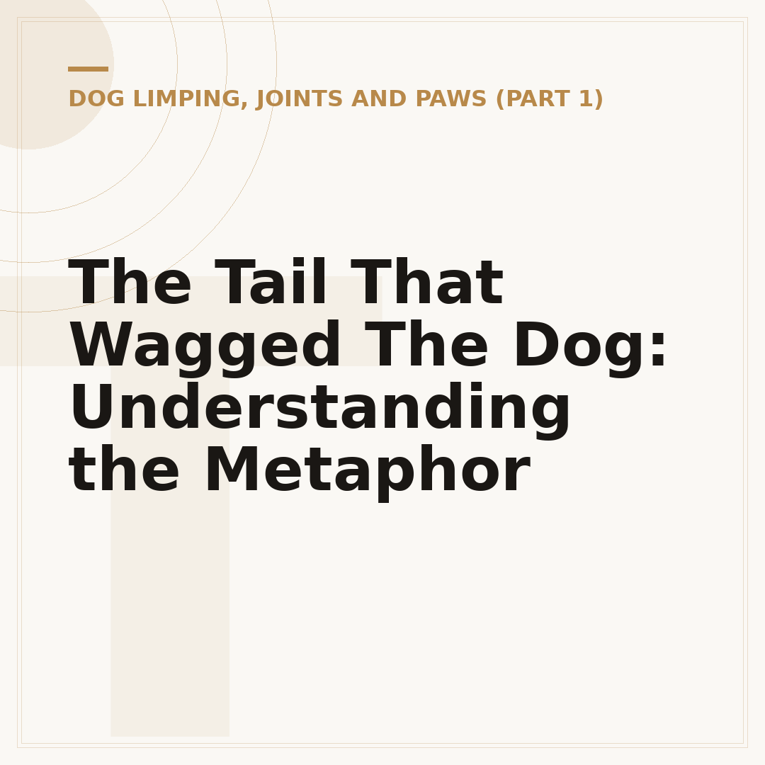 The Tail That Wagged The Dog: Understanding the Metaphor
