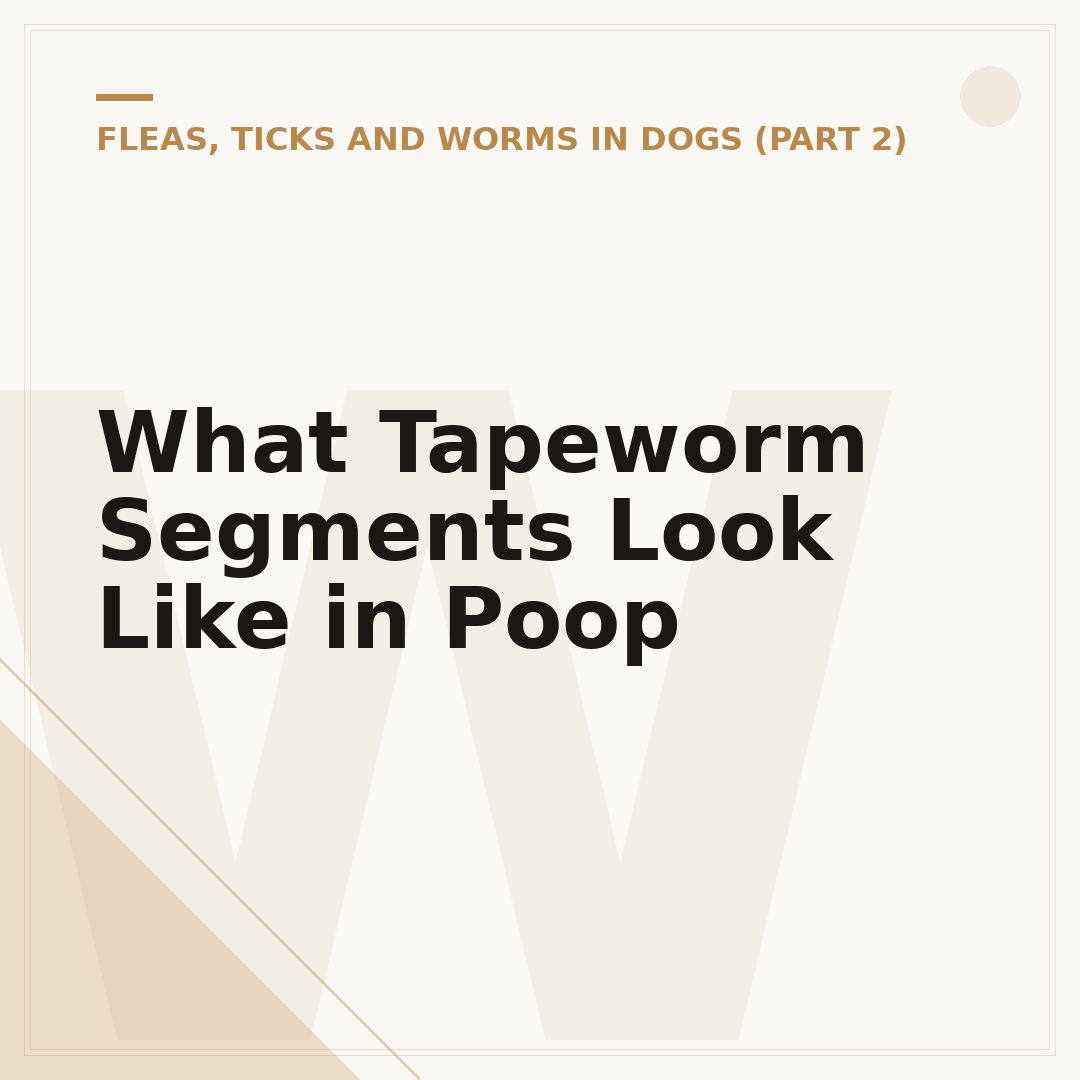 What Tapeworm Segments Look Like in Poop