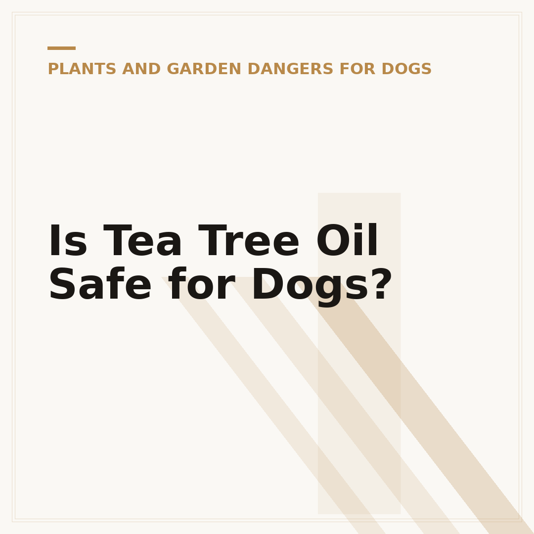 Is Tea Tree Oil Safe for Dogs?