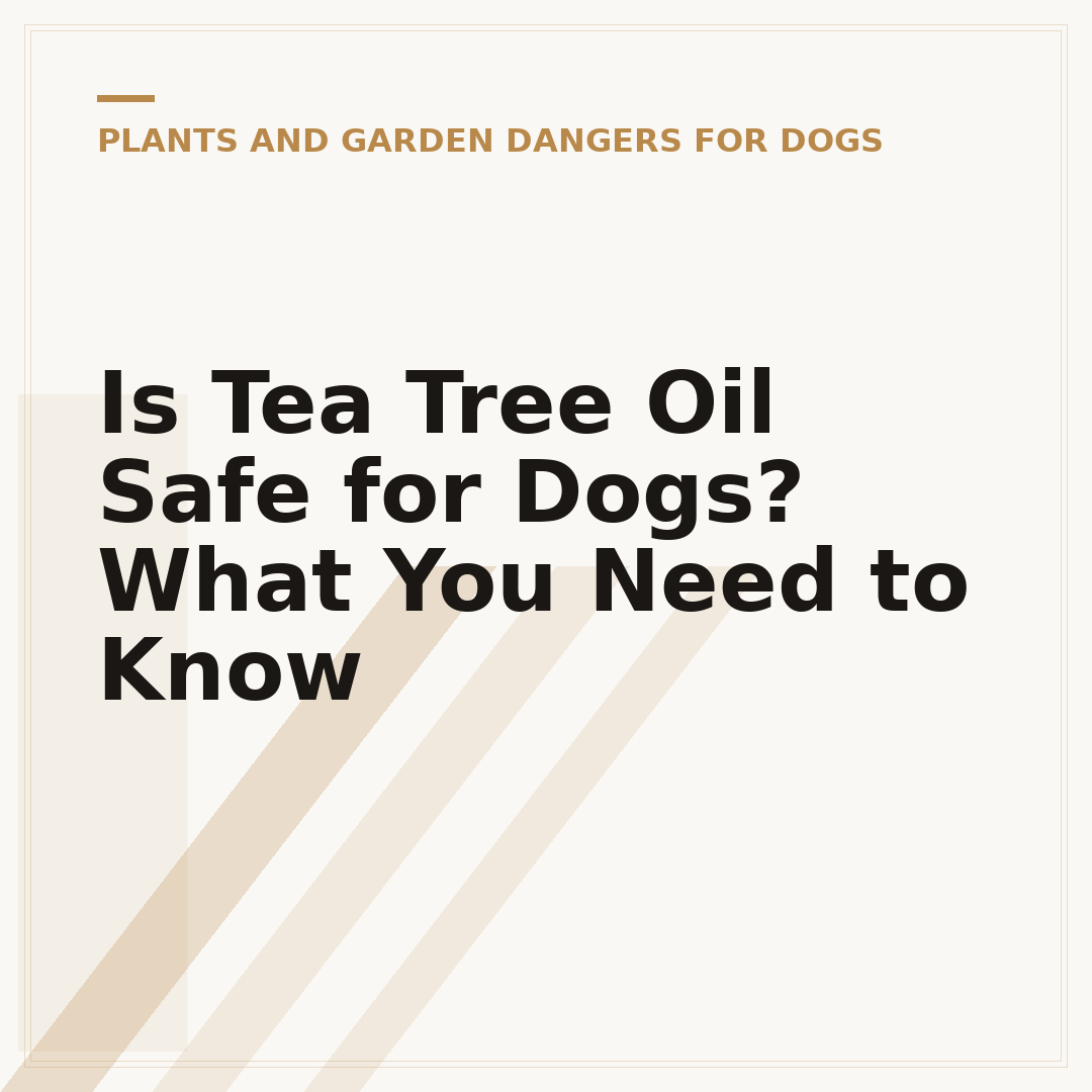 Is Tea Tree Oil Safe for Dogs? What You Need to Know