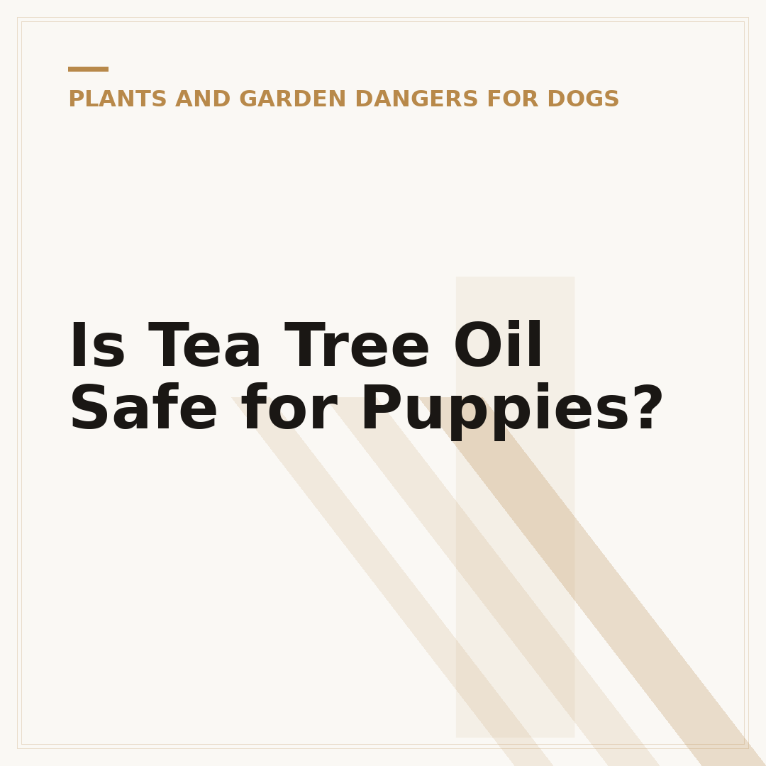 Is Tea Tree Oil Safe for Puppies?