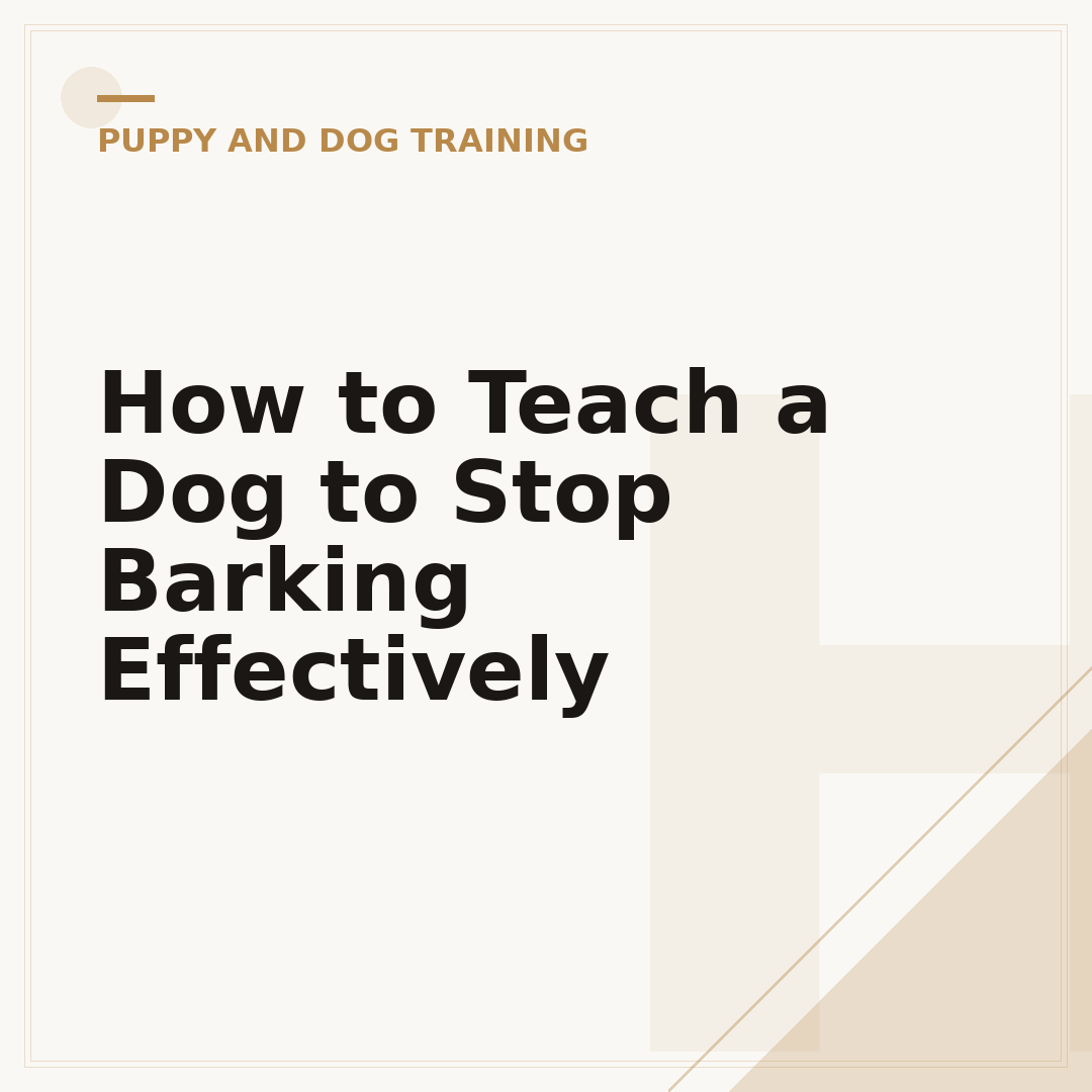 How to Teach a Dog to Stop Barking Effectively
