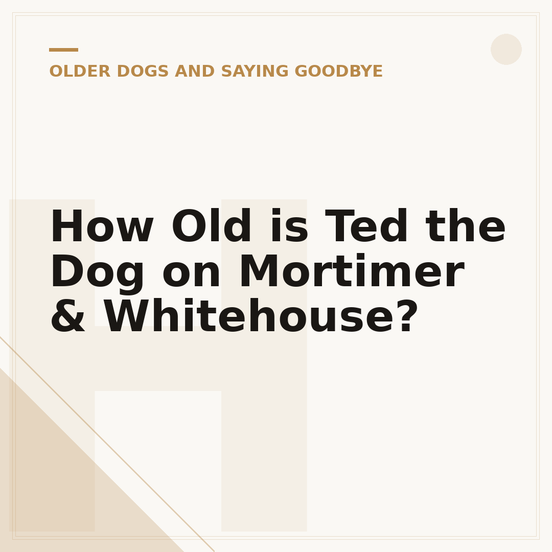 How Old is Ted the Dog on Mortimer & Whitehouse?