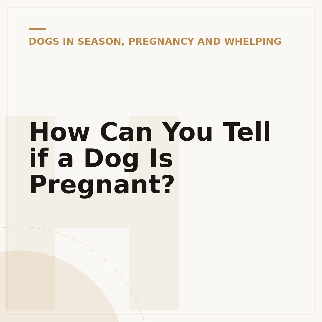 How Can You Tell if a Dog Is Pregnant?