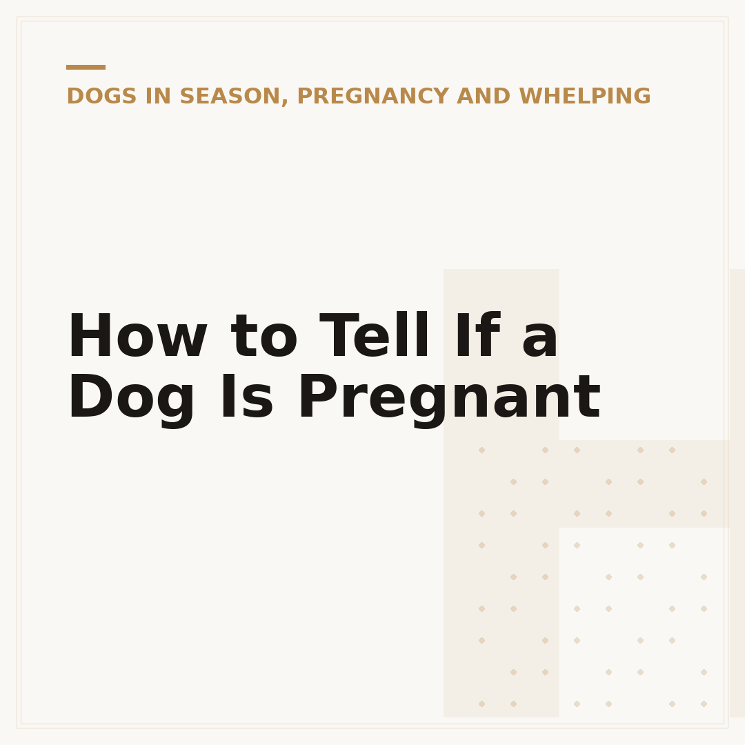 How to Tell If a Dog Is Pregnant
