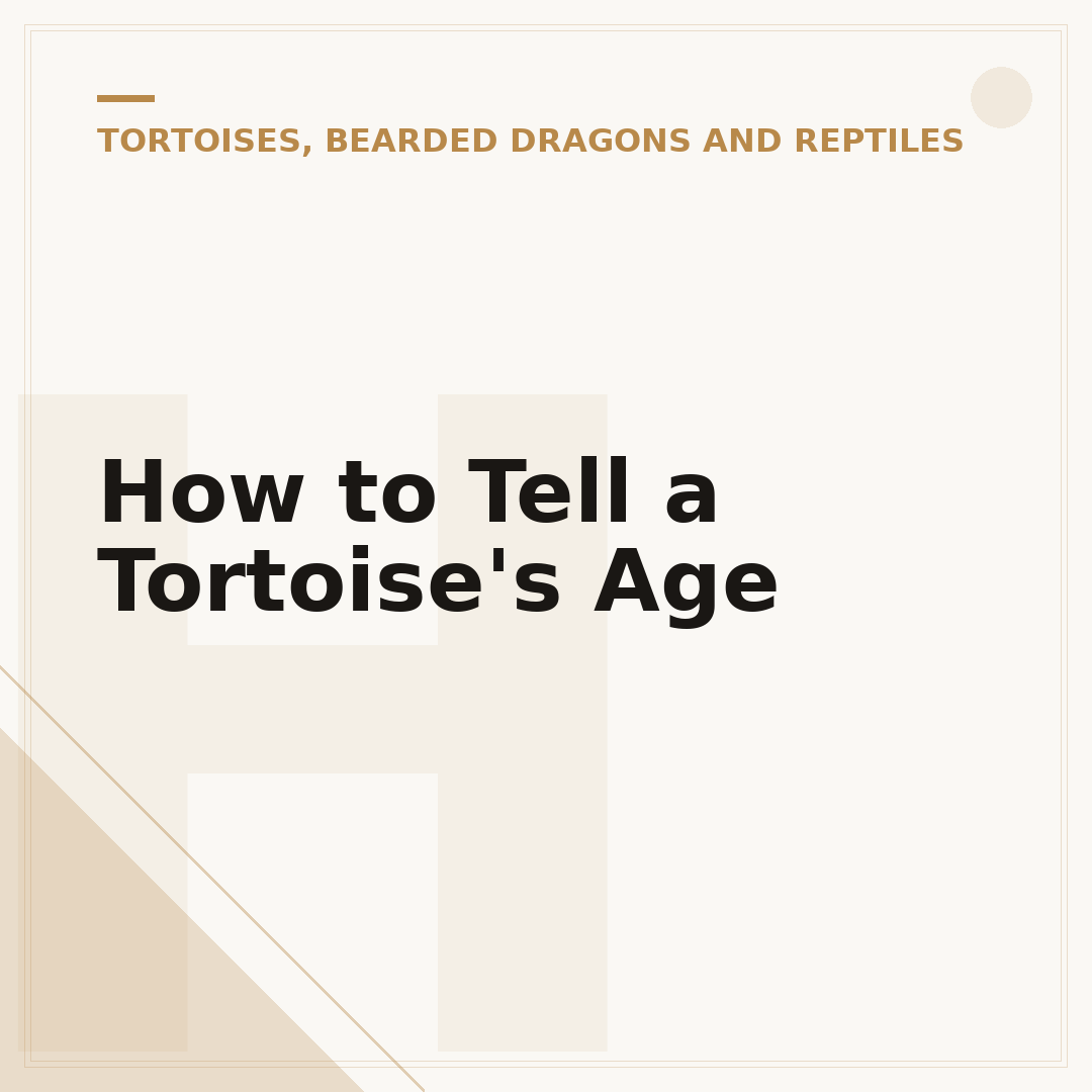 How to Tell a Tortoise's Age