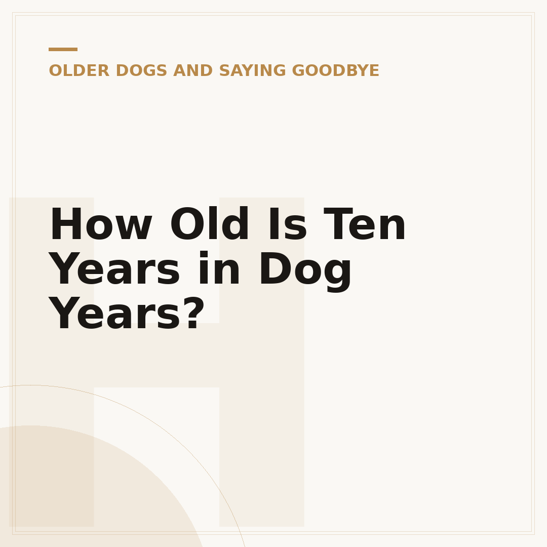 How Old Is Ten Years in Dog Years?
