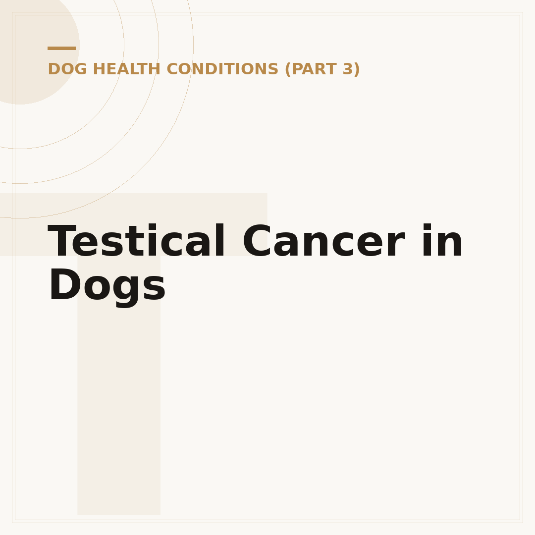 Testical Cancer in Dogs