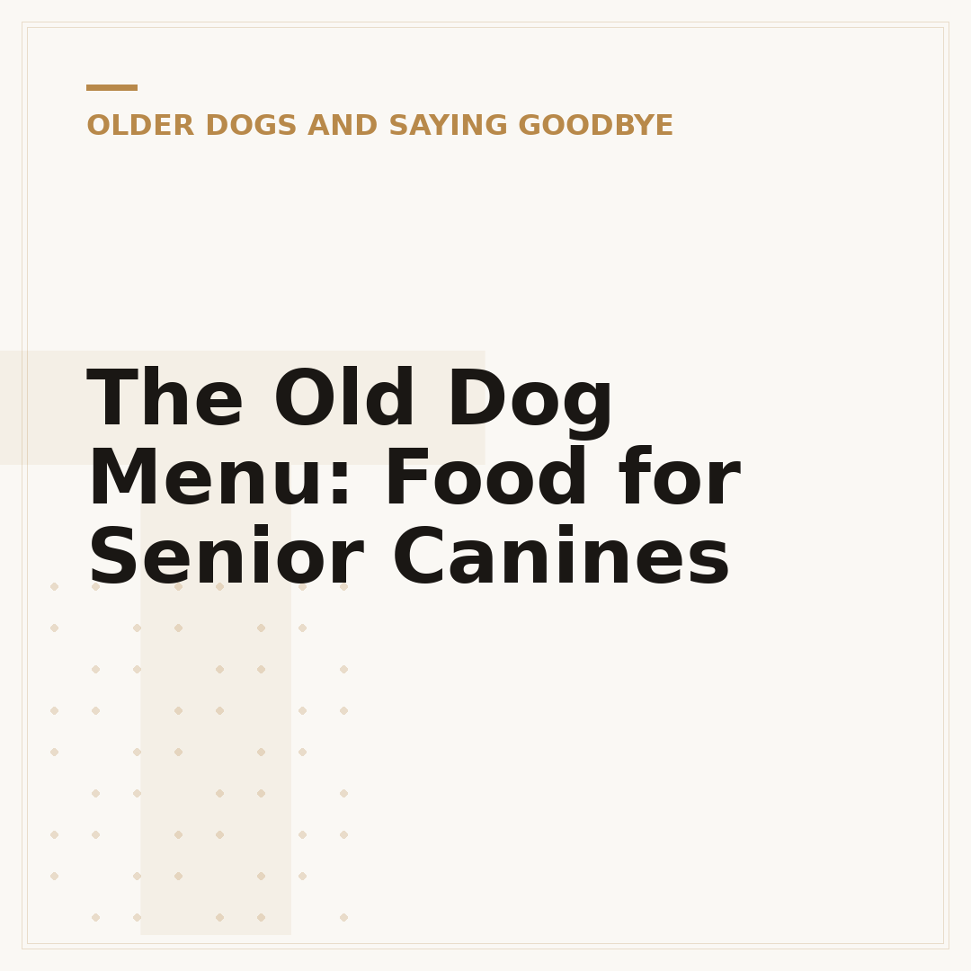 The Old Dog Menu: Food for Senior Canines