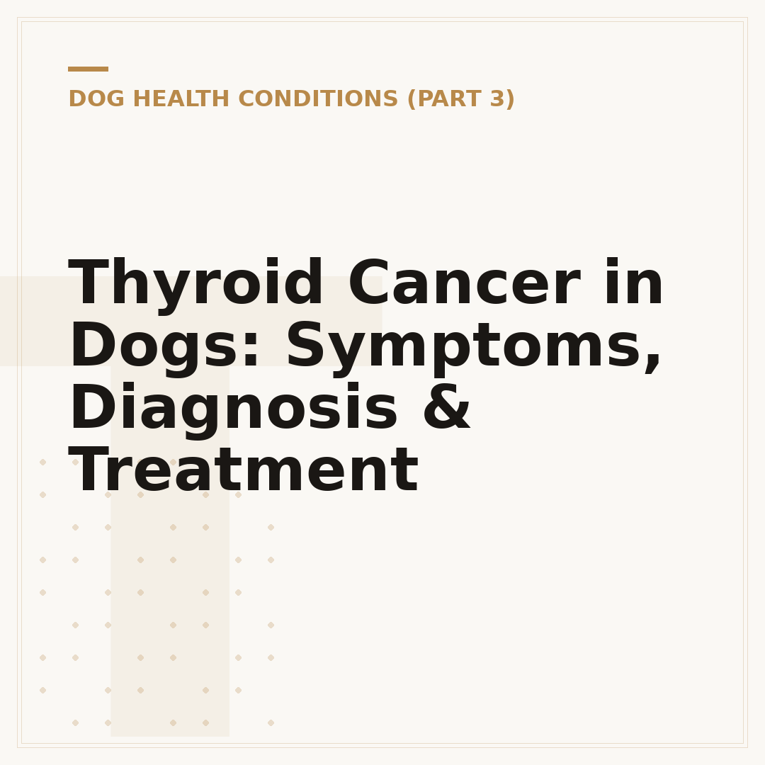 Thyroid Cancer in Dogs: Symptoms, Diagnosis & Treatment