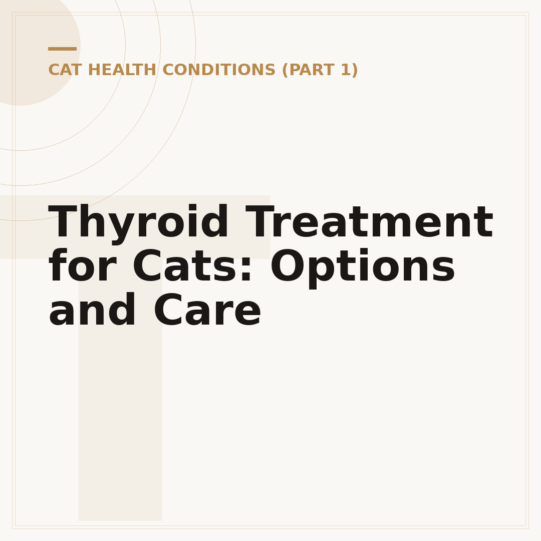 Thyroid Treatment for Cats: Options and Care