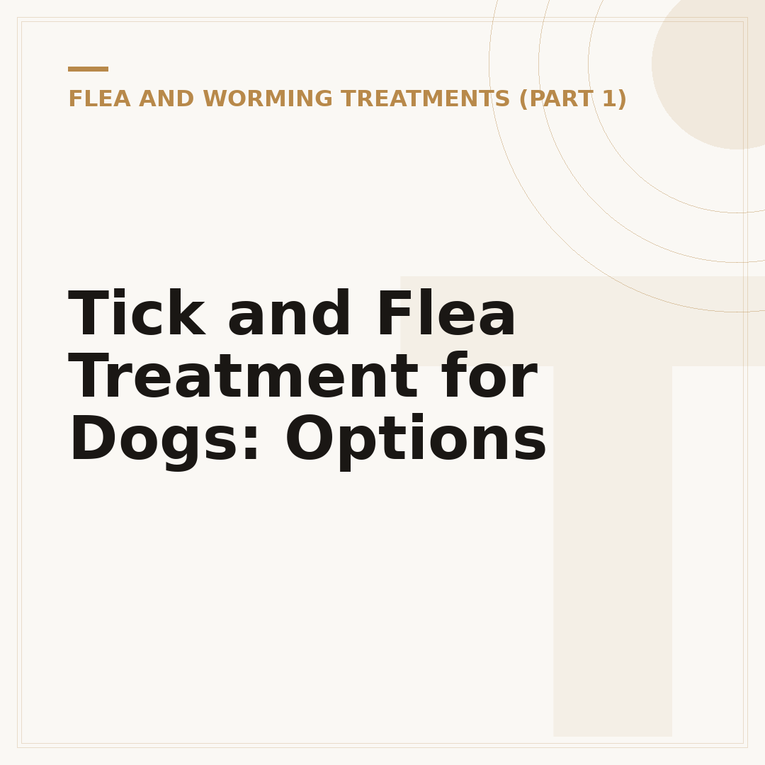 Tick and Flea Treatment for Dogs: Options