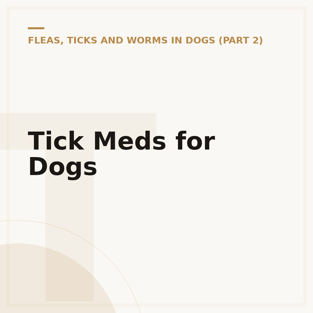 Tick Meds for Dogs