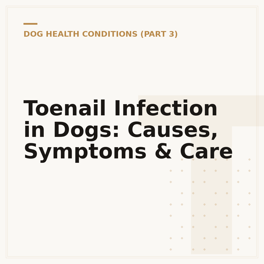 Toenail Infection in Dogs: Causes, Symptoms & Care