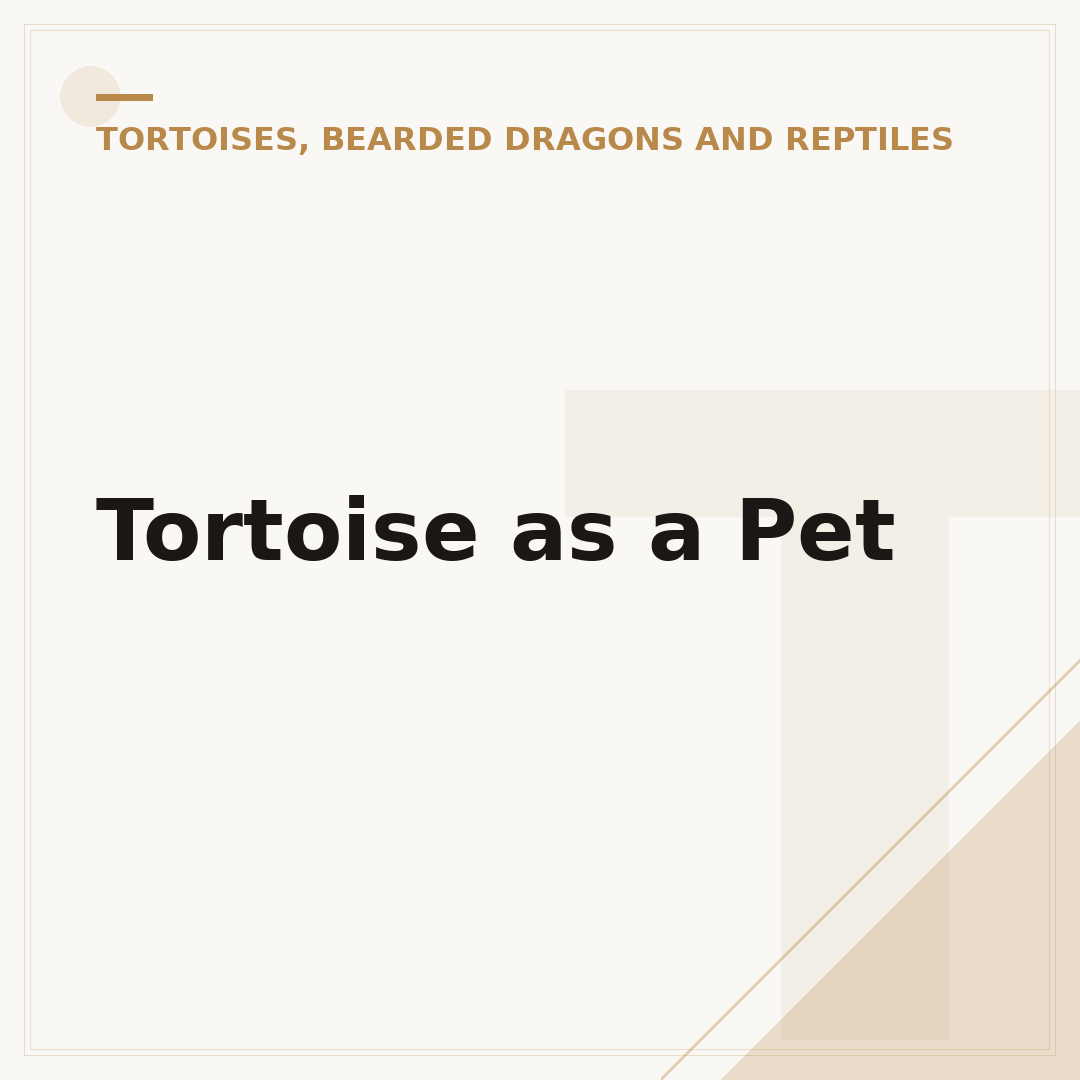 Tortoise as a Pet