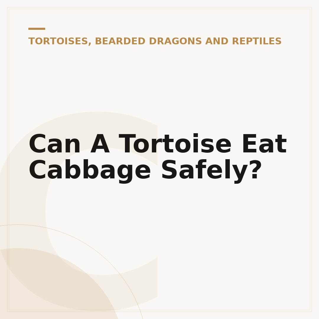 Can A Tortoise Eat Cabbage Safely?