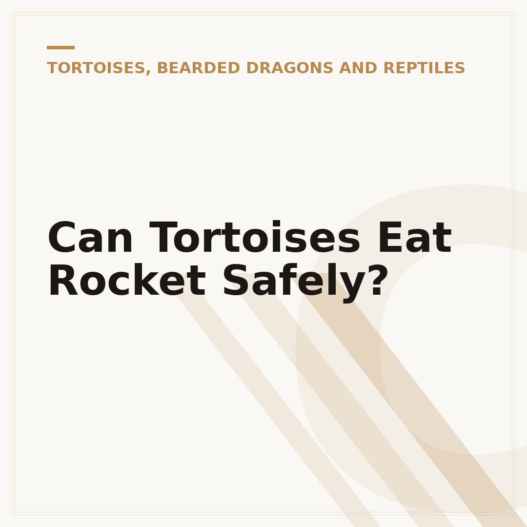 Can Tortoises Eat Rocket Safely?