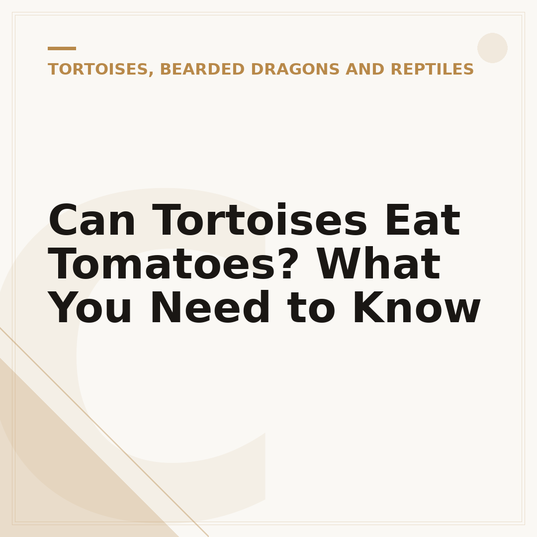 Can Tortoises Eat Tomatoes? What You Need to Know