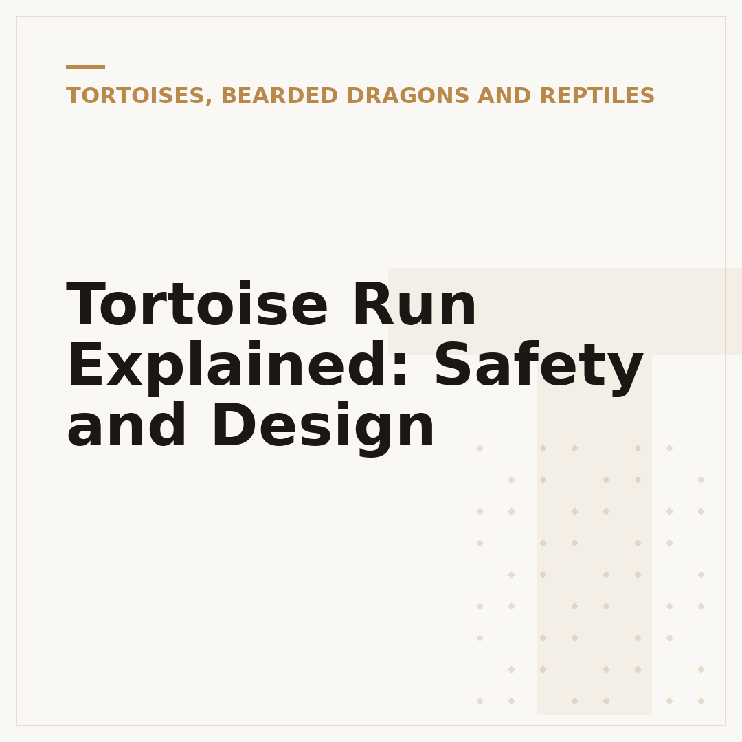 Tortoise Run Explained: Safety and Design