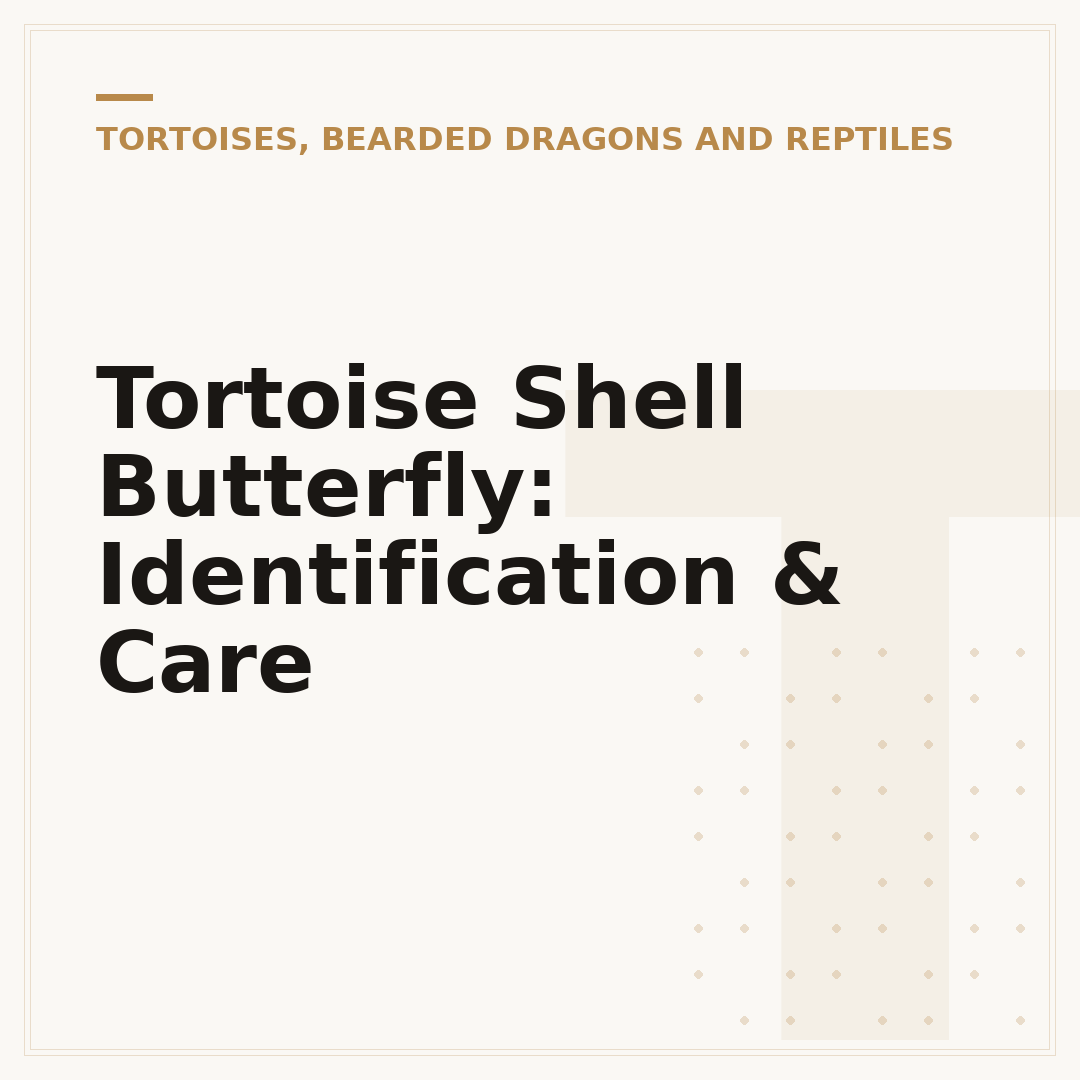 Tortoise Shell Butterfly: Identification & Care