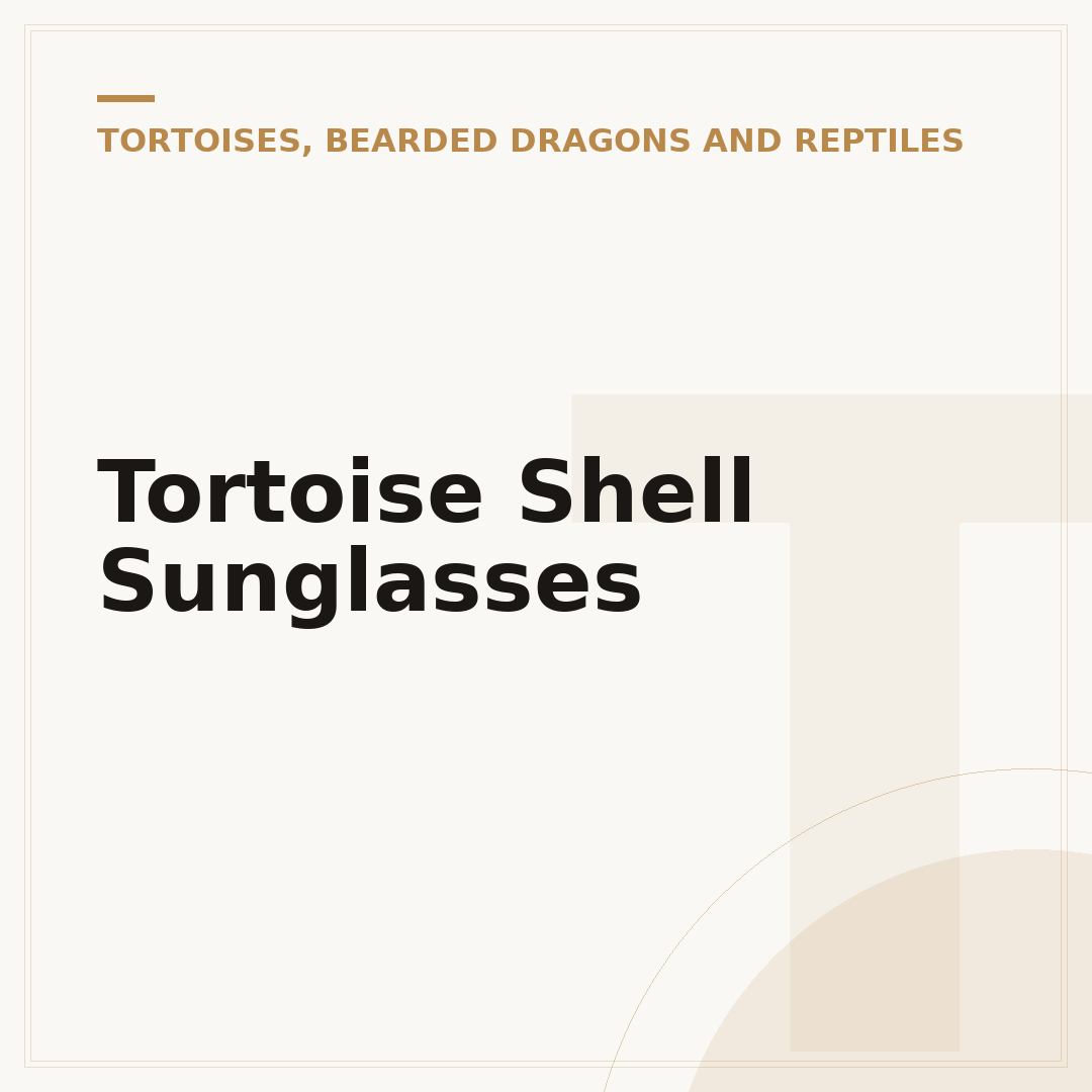 Tortoise Shell Sunglasses