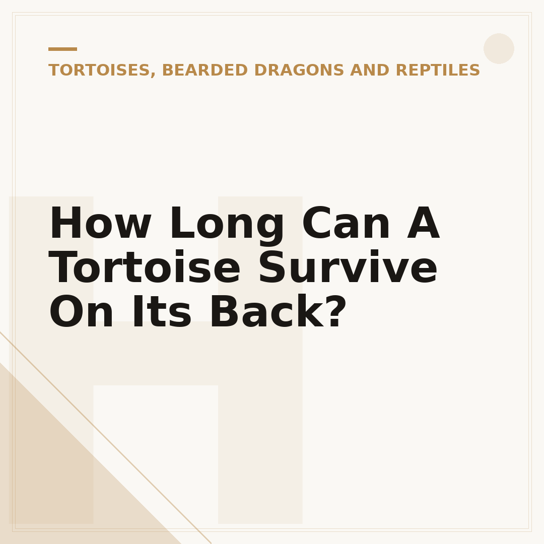 How Long Can A Tortoise Survive On Its Back?