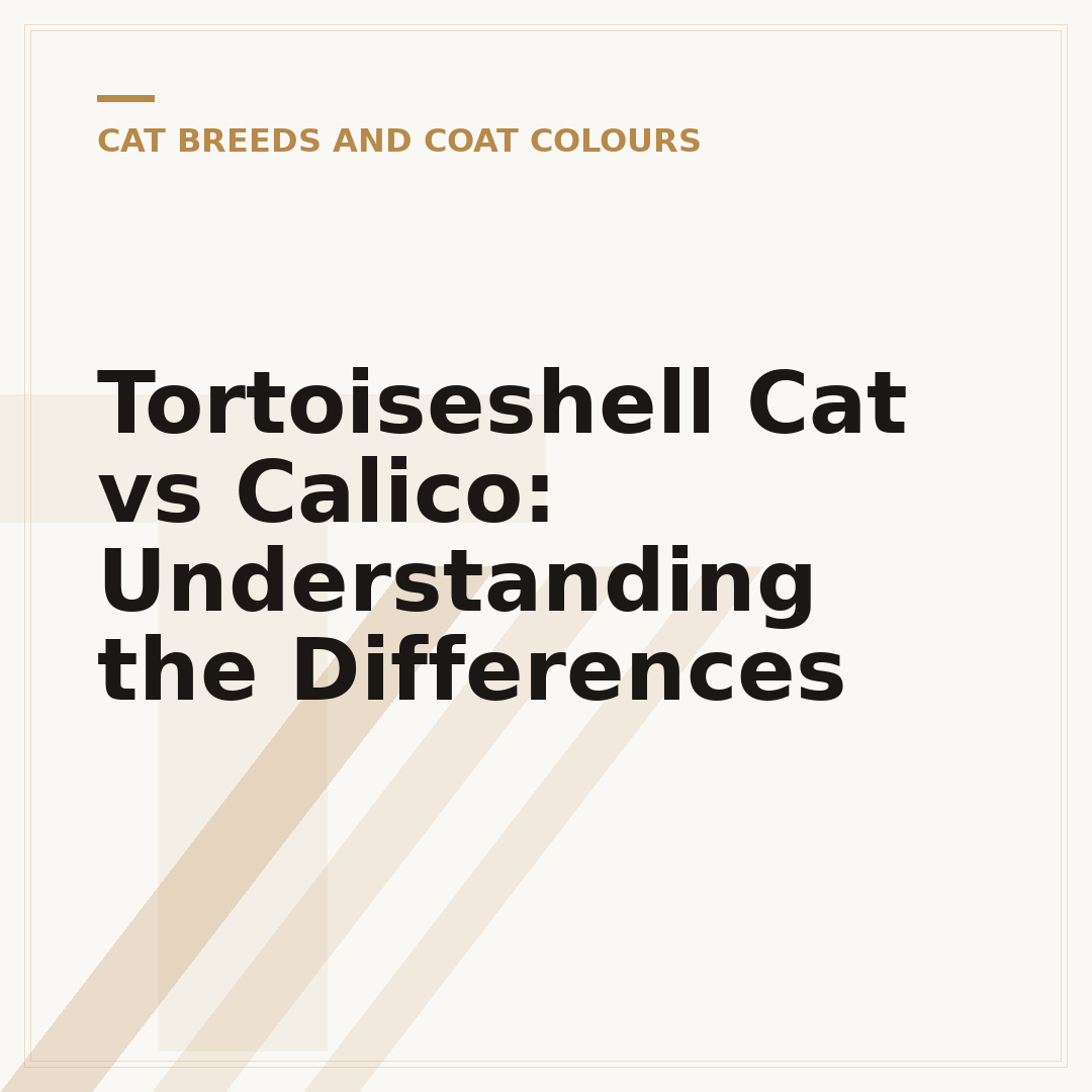 Tortoiseshell Cat vs Calico: Understanding the Differences