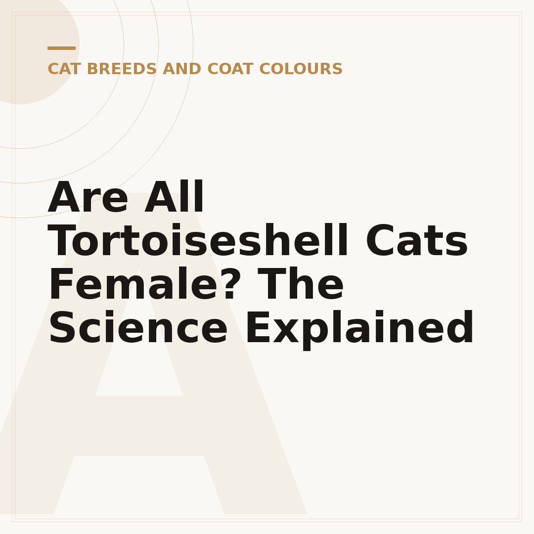 Are All Tortoiseshell Cats Female? The Science Explained