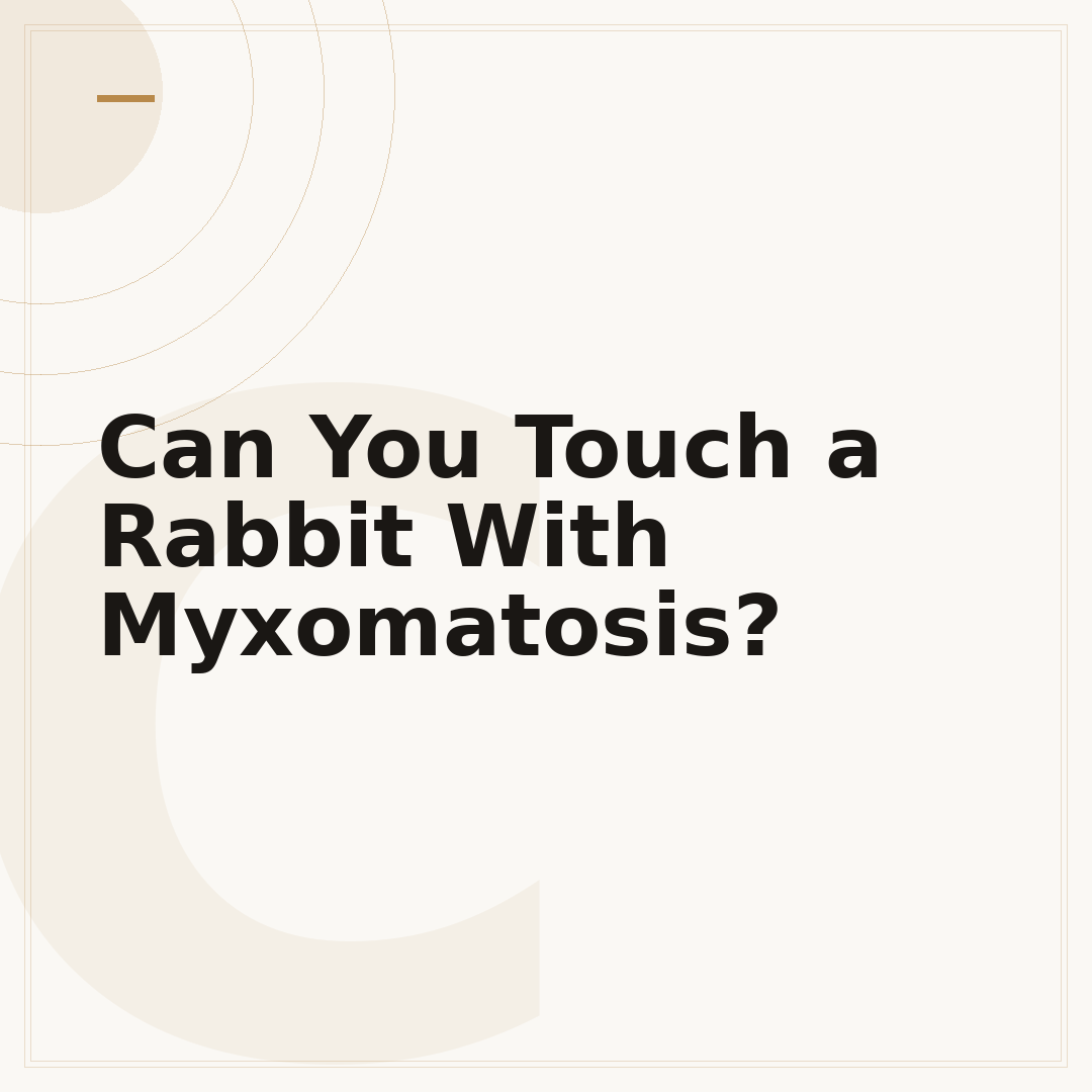 Can You Touch a Rabbit With Myxomatosis?
