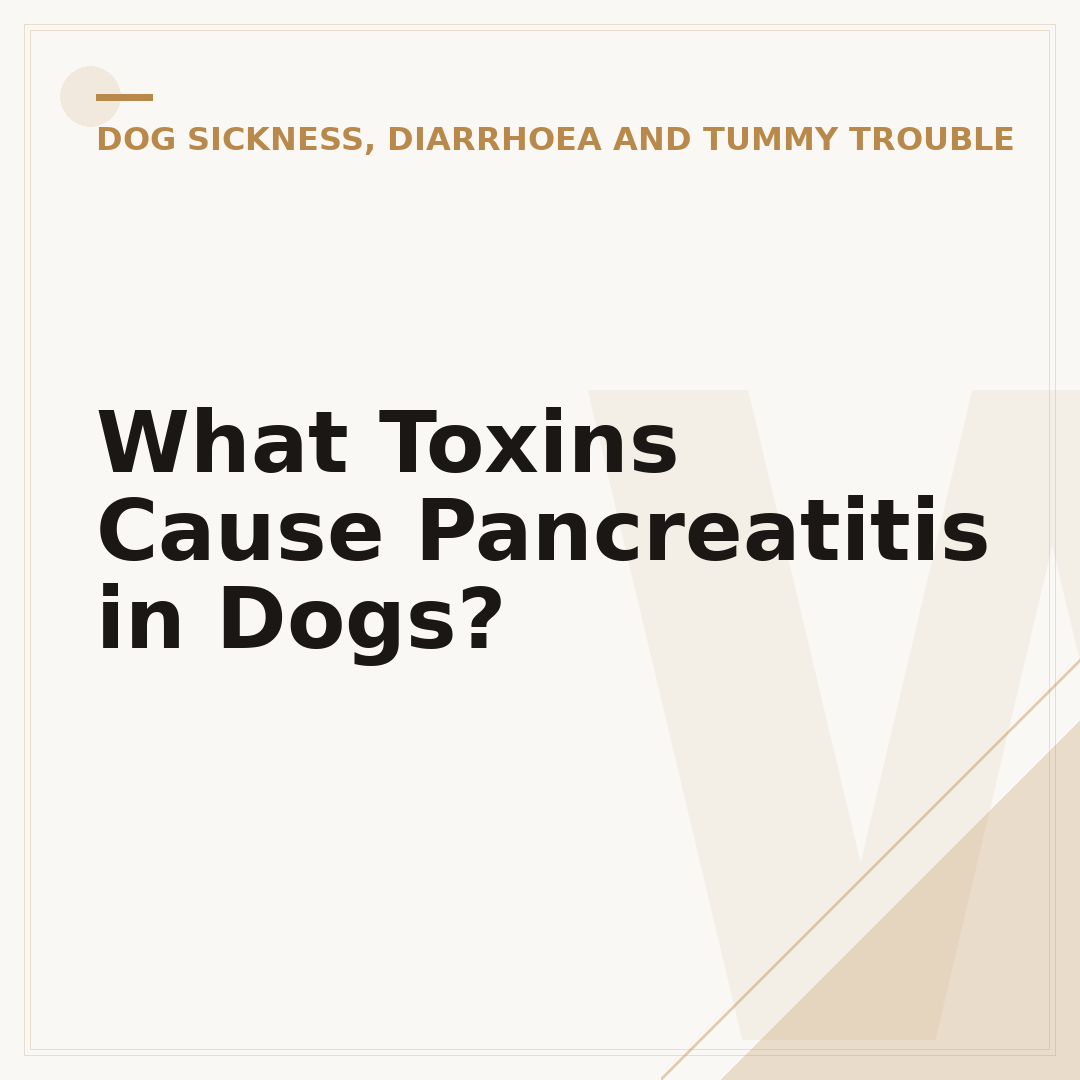 What Toxins Cause Pancreatitis in Dogs?