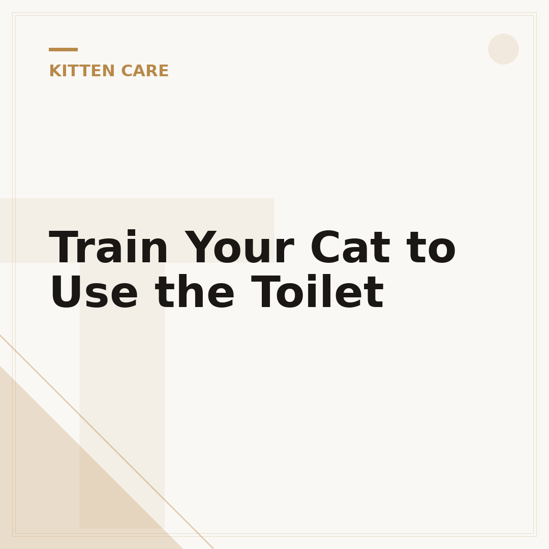 Train Your Cat to Use the Toilet